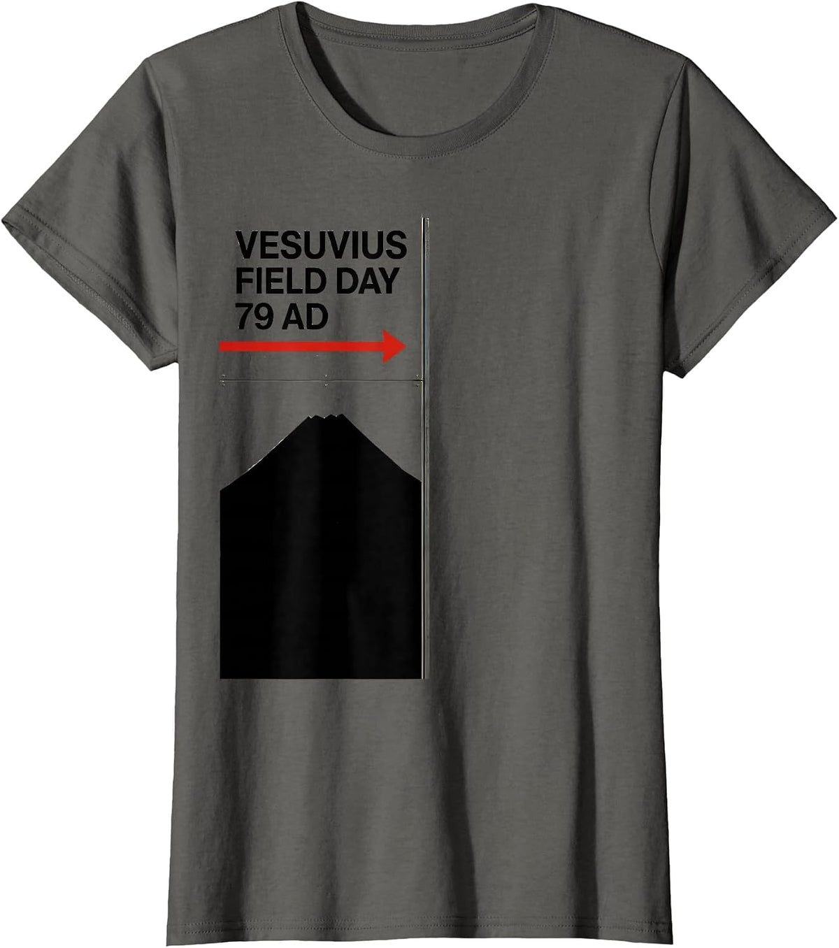 Women's Vesuvius Field Day 79 AD Funny History Buff Volcanology T-Shirt - Asphalt Grey