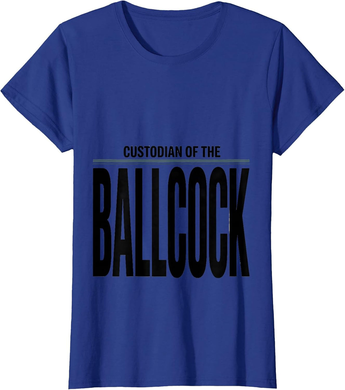 Women's Custodian Of The Ballcock Funny Plumber Pipefitter Gift T-Shirt - Royal Blue