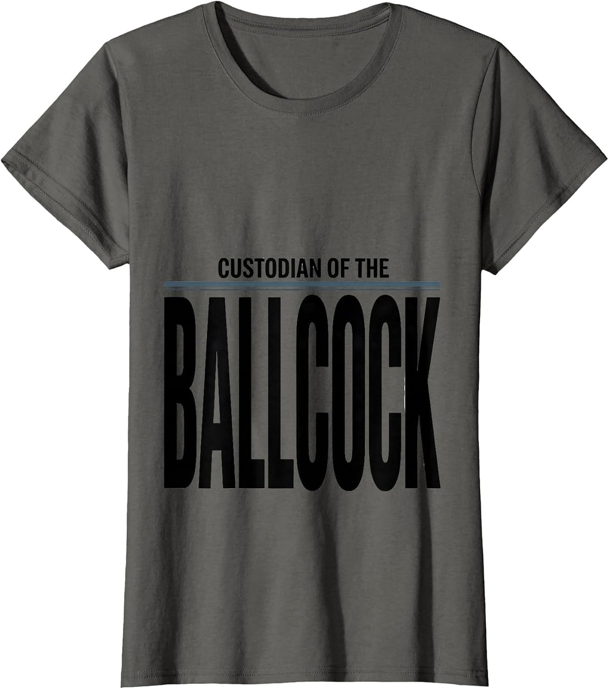 Women's Custodian Of The Ballcock Funny Plumber Pipefitter Gift T-Shirt - Asphalt Grey