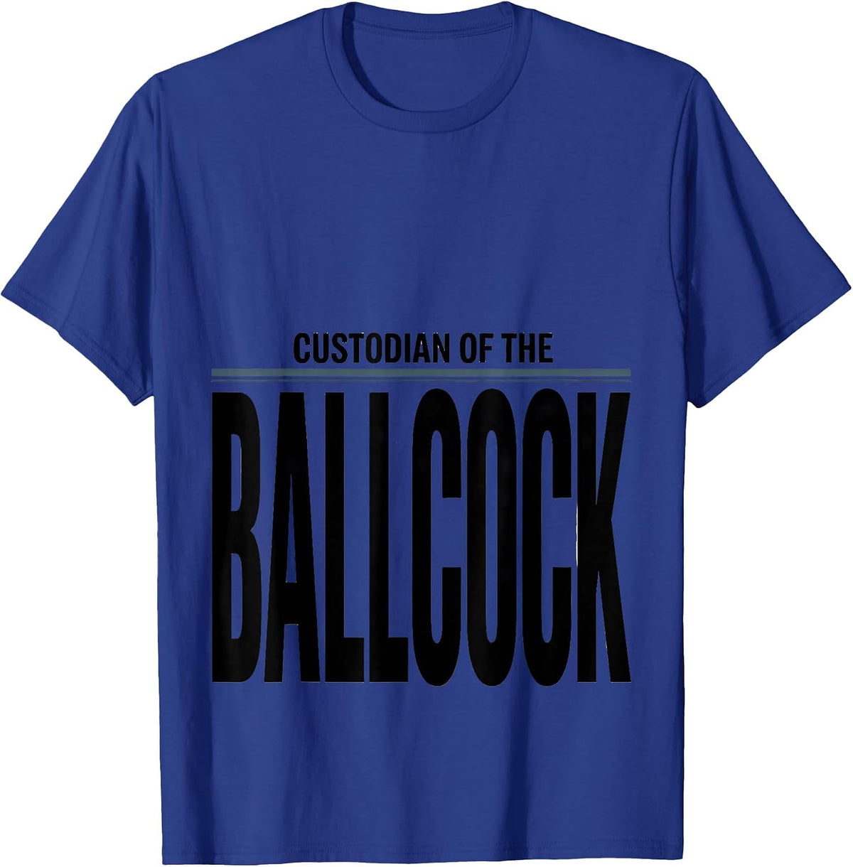 Men's Custodian Of The Ballcock Funny Plumber Pipefitter Gift T-Shirt - Royal Blue