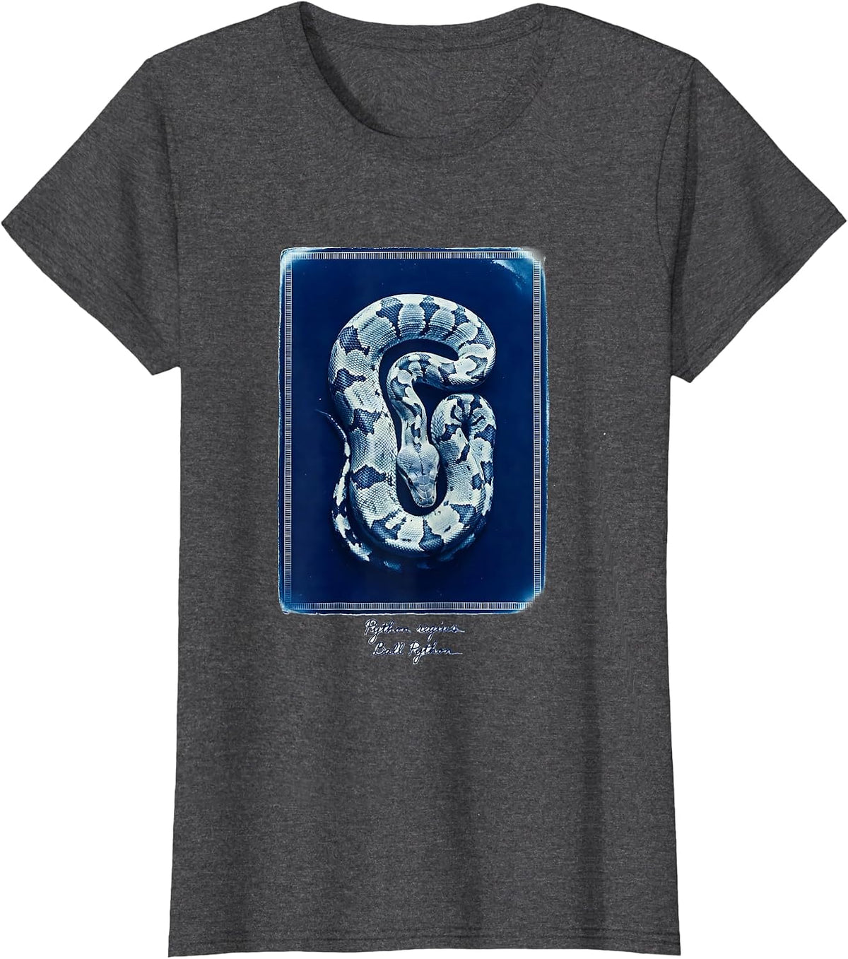 Women's Python regius Ball Python Funny Snake Owner Reptile Lover T-Shirt - Dark Heather Grey