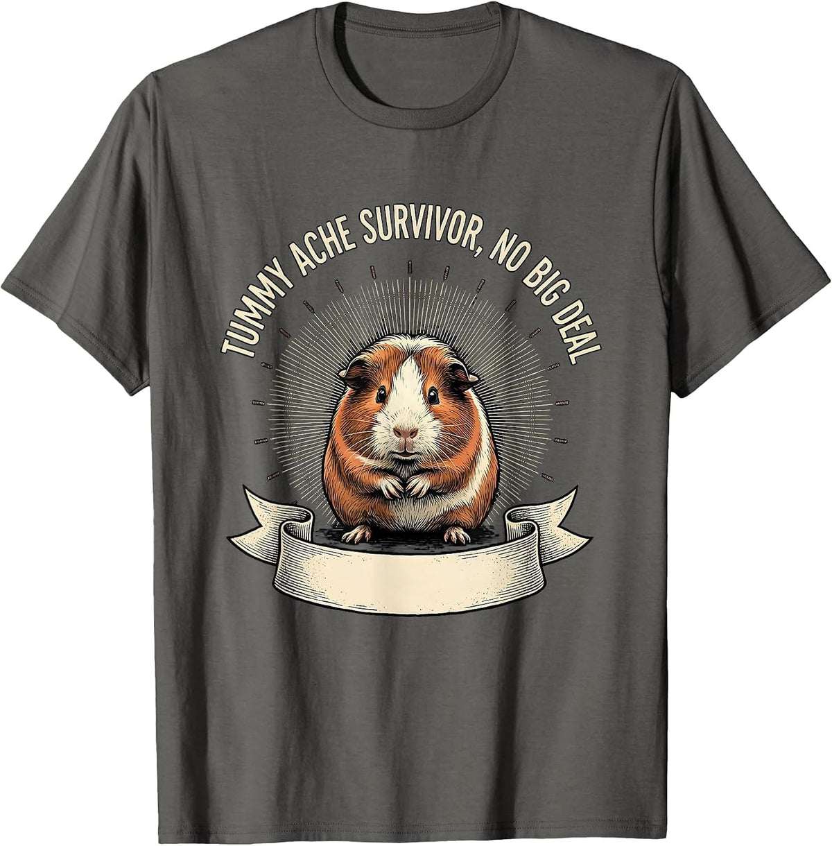 Men's Tummy Ache Survivor No Big Deal Funny Guinea Pig Meme Humor T-Shirt - Asphalt Grey
