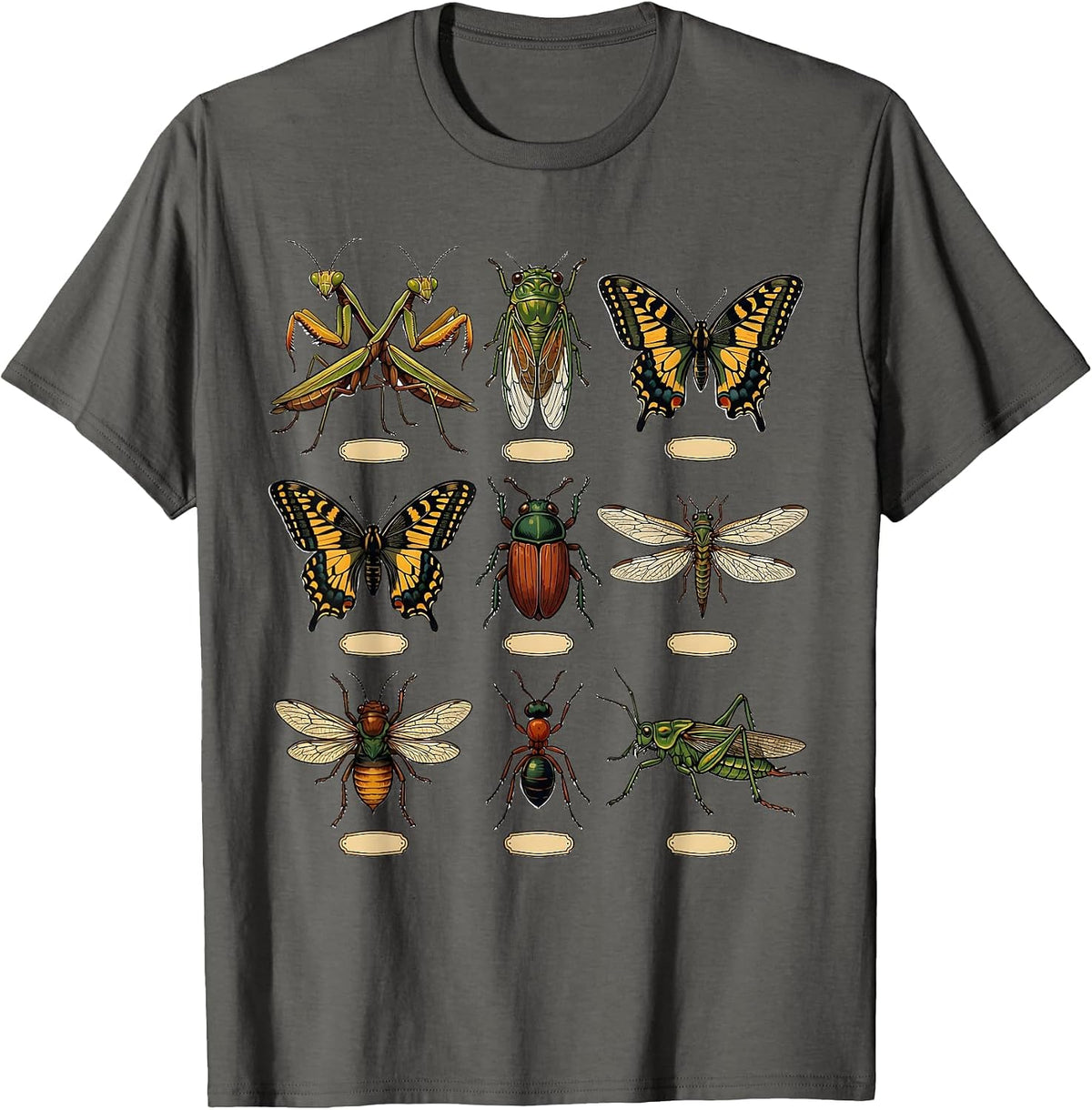 Insect Specimen Chart Folk Art Bug Collector Humor T-Shirt - Asphalt Grey