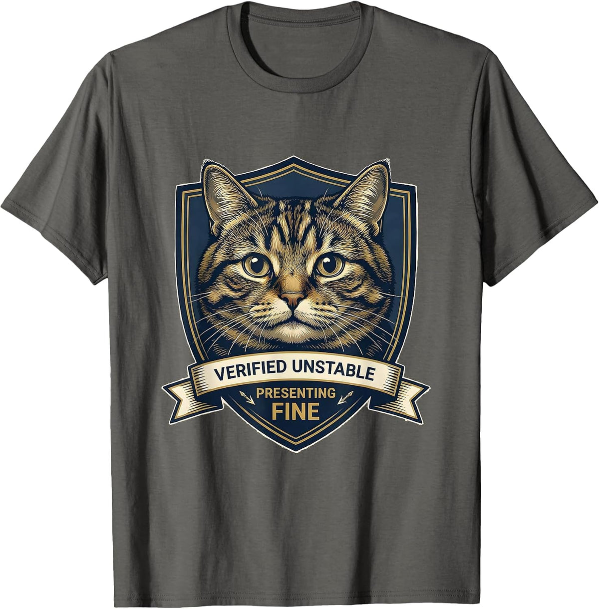 Verified Unstable Presenting Fine Funny Cat Meme Cat Lover T-Shirt - Asphalt Grey