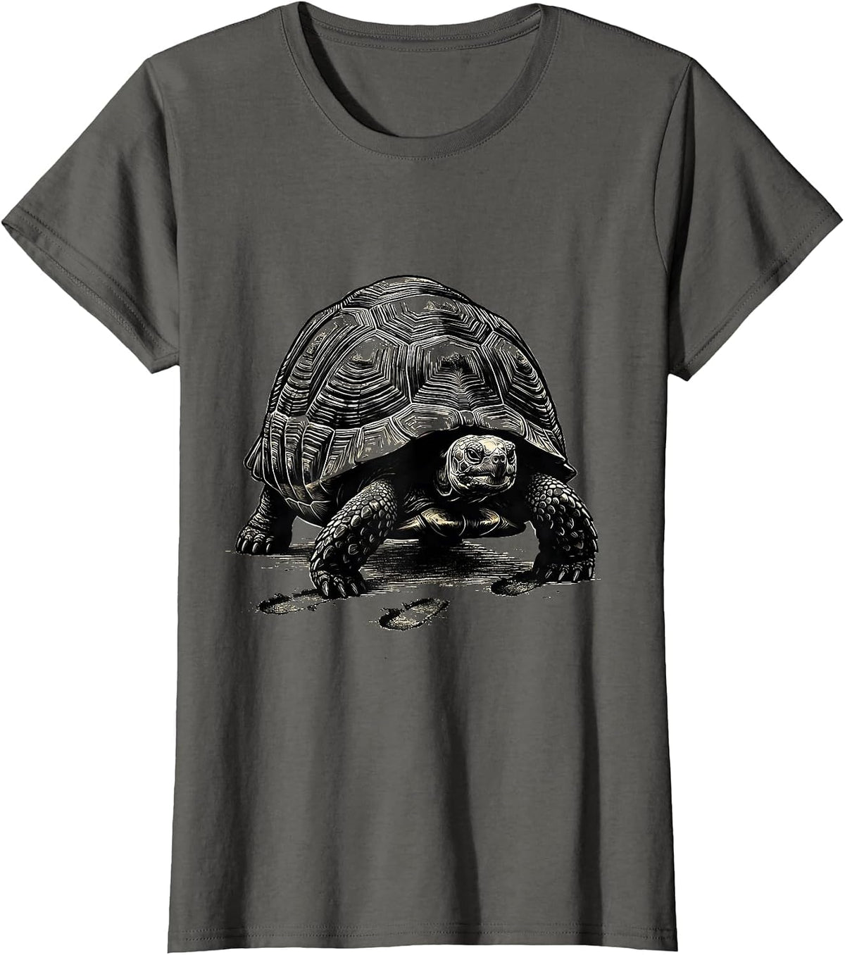 Women's Compact Tortoise Scratchboard Funny Turtle Lover Gift T-Shirt - Asphalt Grey
