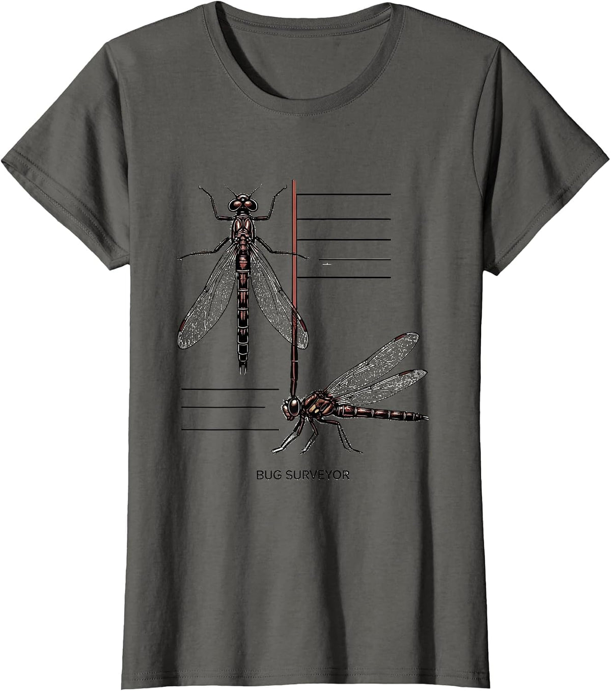 Women's Bug Surveyor Minimalist Entomology Bug Collector Species T-Shirt - Asphalt Grey