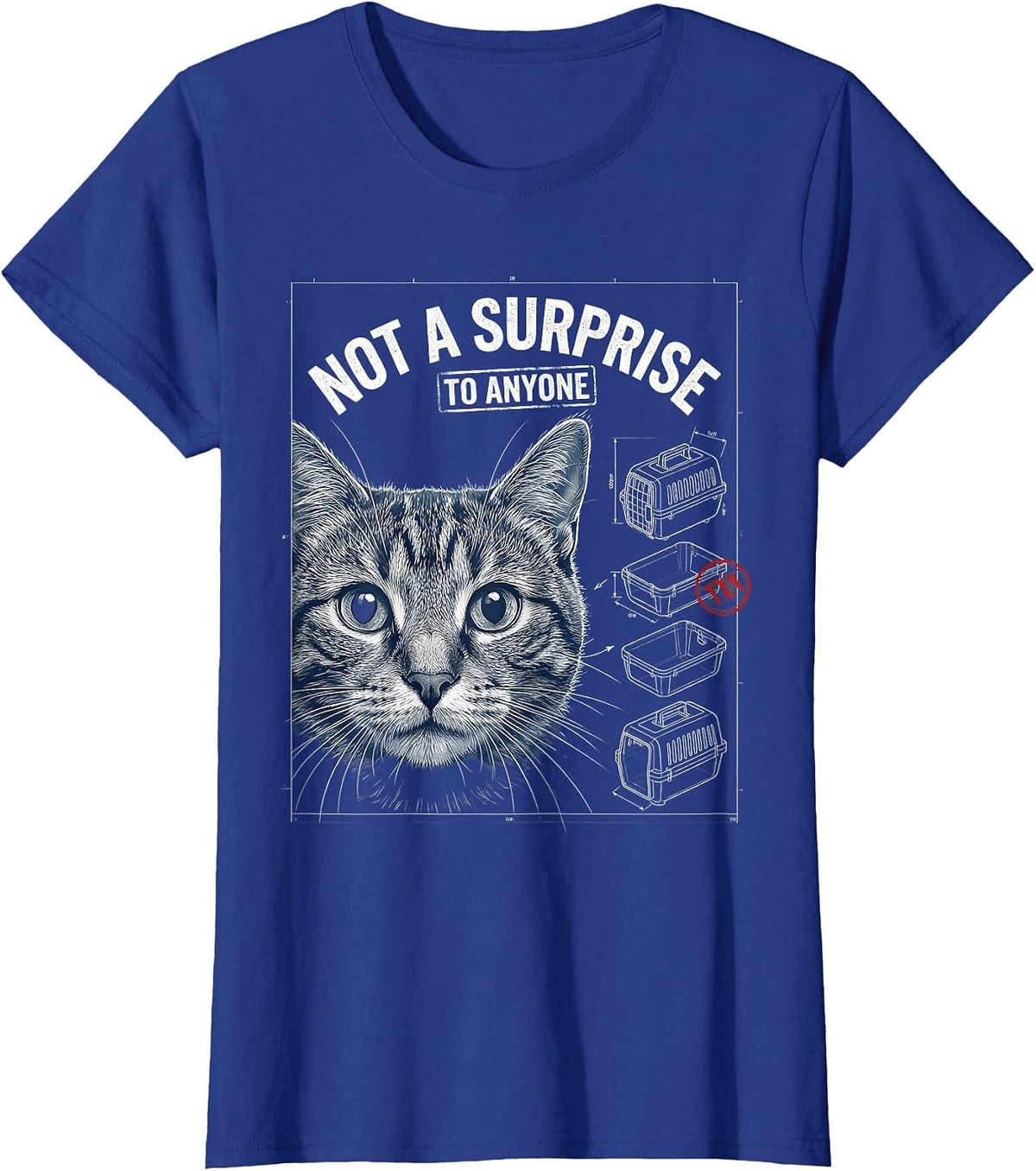 Women's Not A Surprise To Anyone Funny Gay Cat Meme Bootleg Humor T-Shirt - Royal Blue