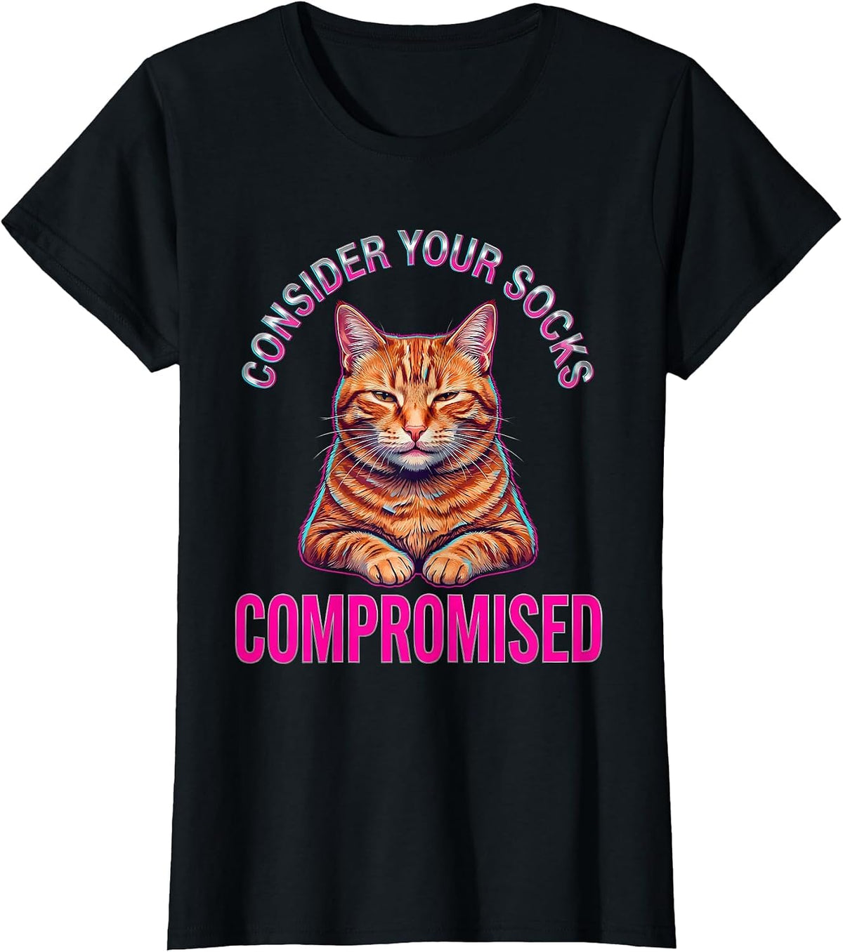 Consider Your Socks Compromised Vaporwave Y2K Cat Meme Humor T-Shirt - Black