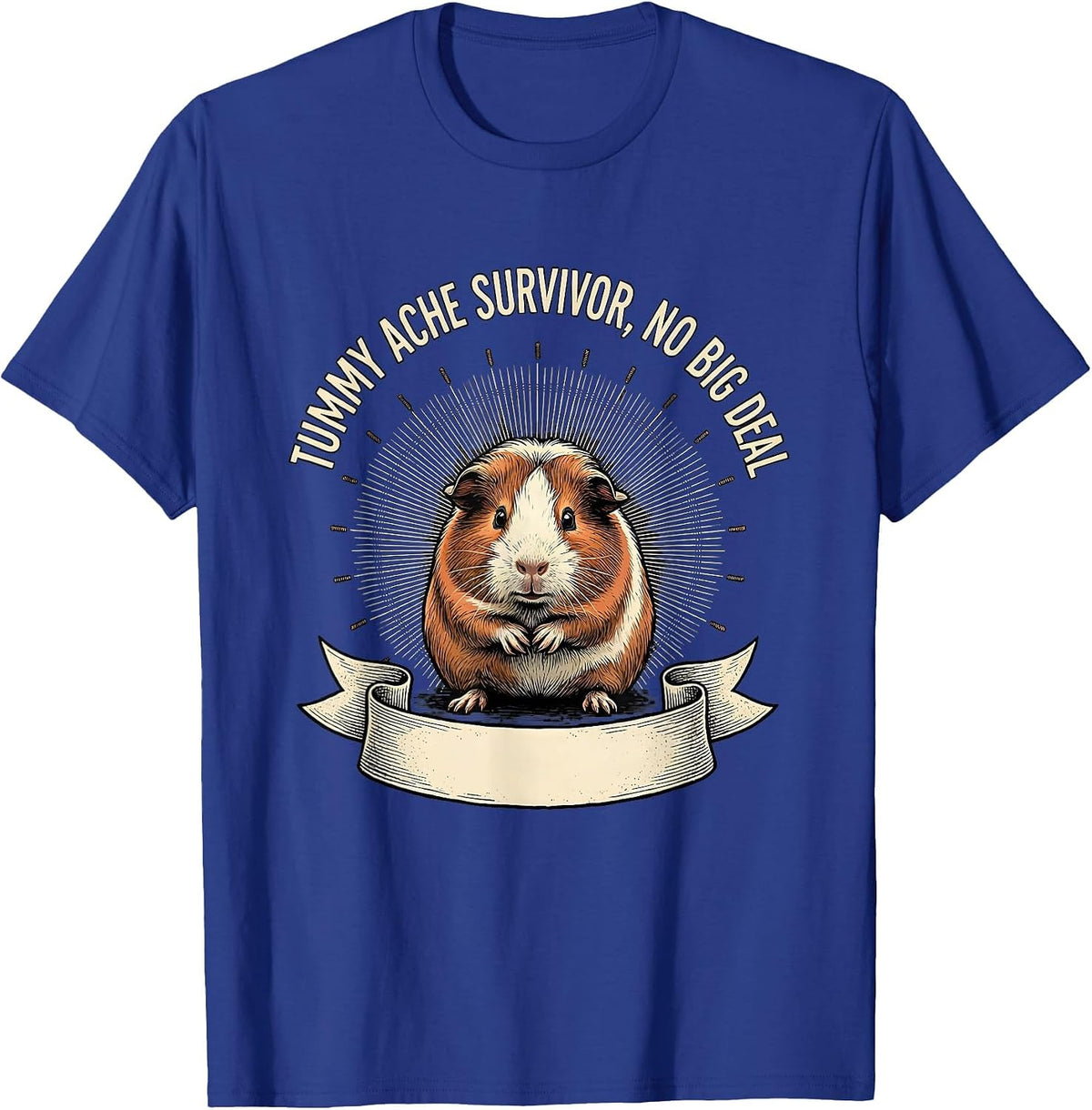 Men's Tummy Ache Survivor No Big Deal Funny Guinea Pig Meme Humor T-Shirt - Royal Blue