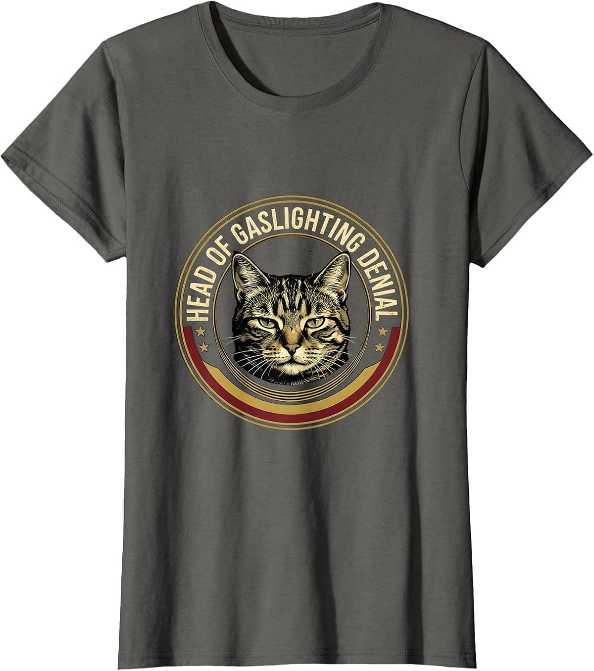 Women's HEAD OF GASLIGHTING DENIAL Funny Cat Meme Ironic Humor T-Shirt - Asphalt Grey