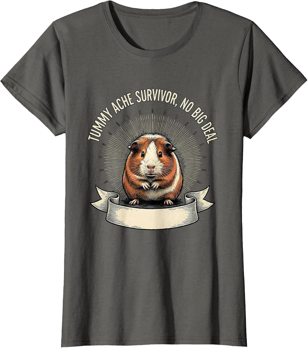 Women's Tummy Ache Survivor No Big Deal Funny Guinea Pig Meme Humor T-Shirt - Asphalt Grey