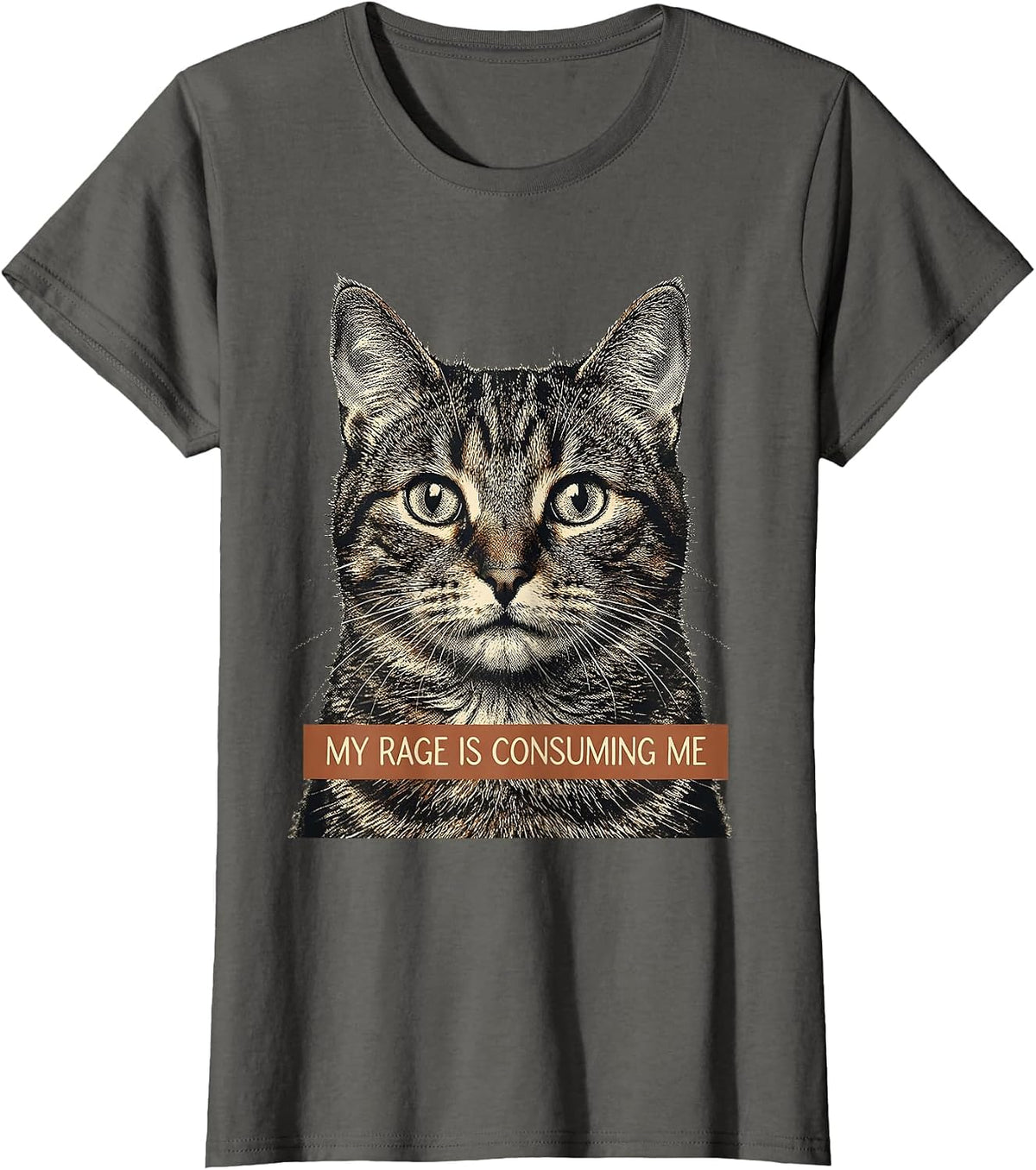 Women's My Rage Is Consuming Me Funny Cat Meme Silly Staring T-Shirt - Asphalt Grey