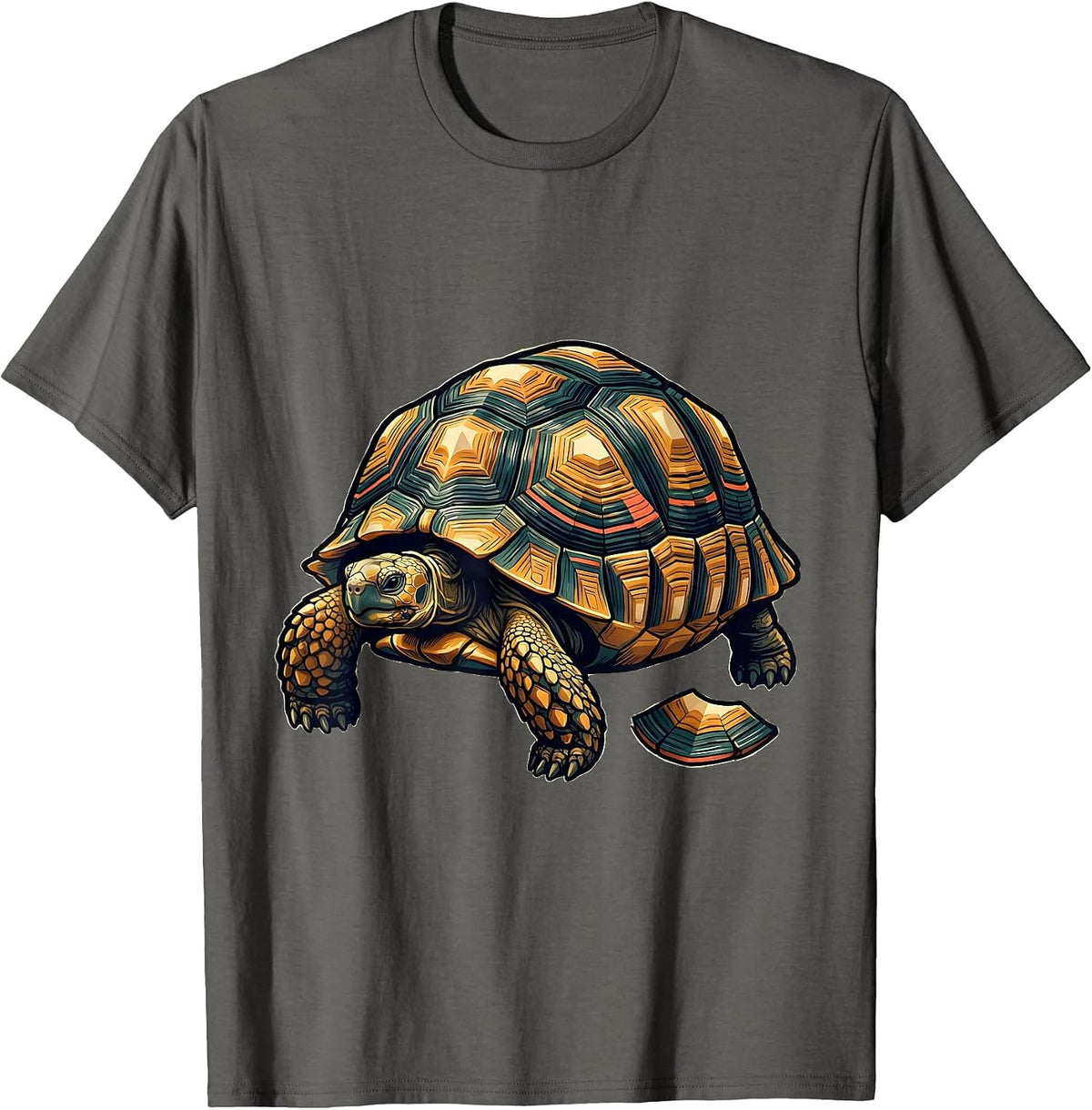 Indian Star Tortoise Reptile Lover Novelty Animal Fan T-Shirt - Asphalt Grey