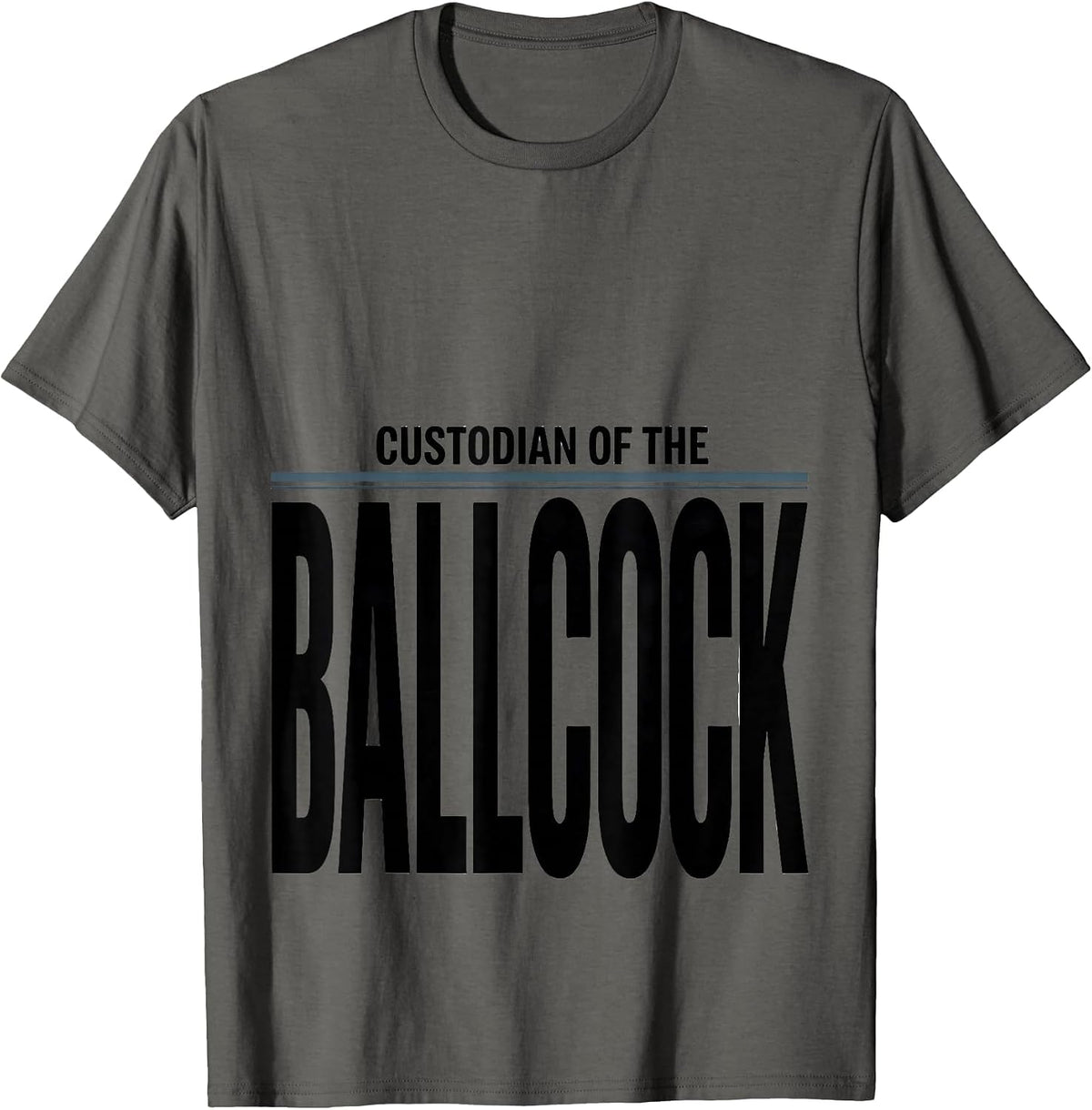 Men's Custodian Of The Ballcock Funny Plumber Pipefitter Gift T-Shirt - Asphalt Grey