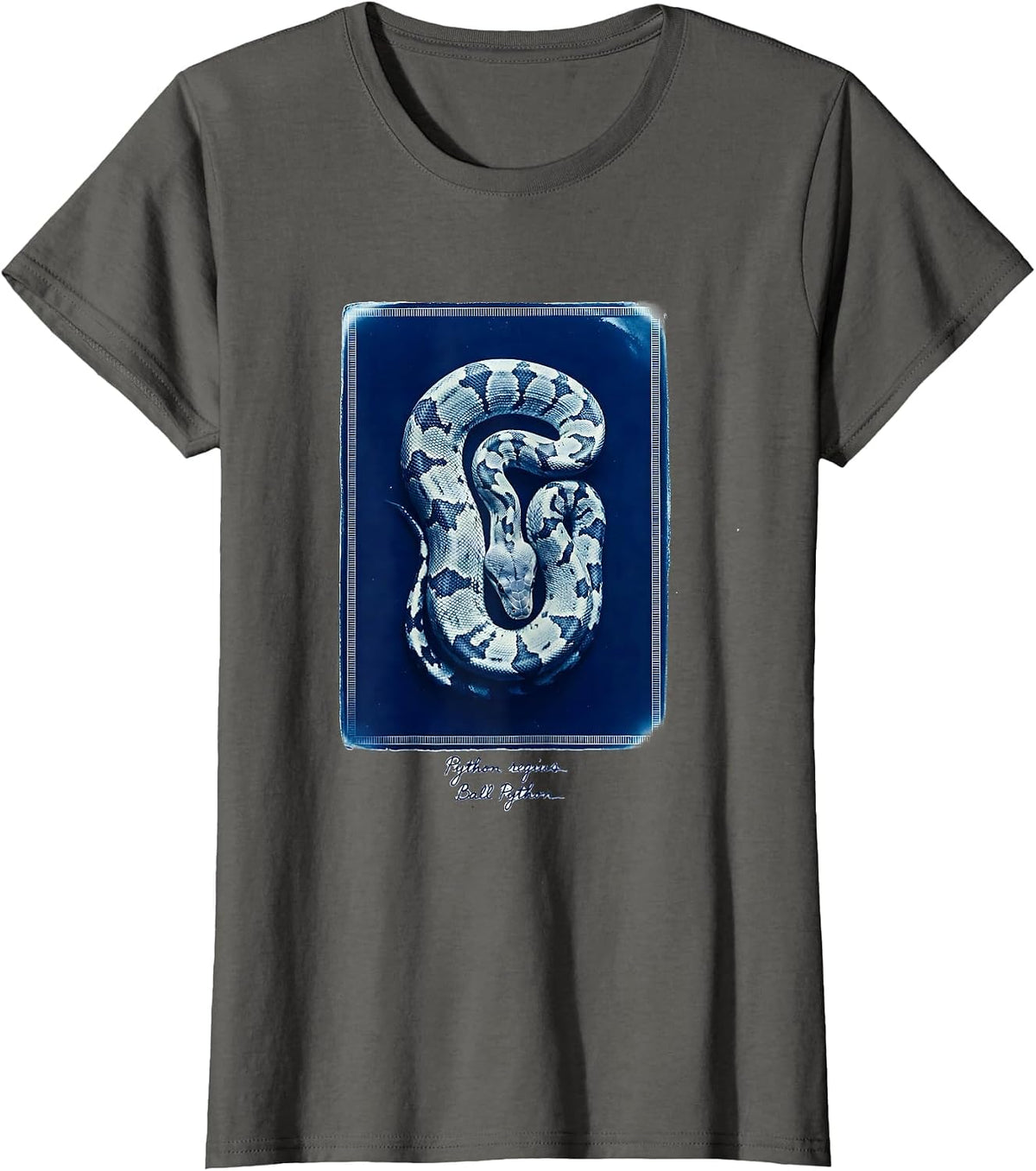 Women's Python regius Ball Python Funny Snake Owner Reptile Lover T-Shirt - Asphalt Grey