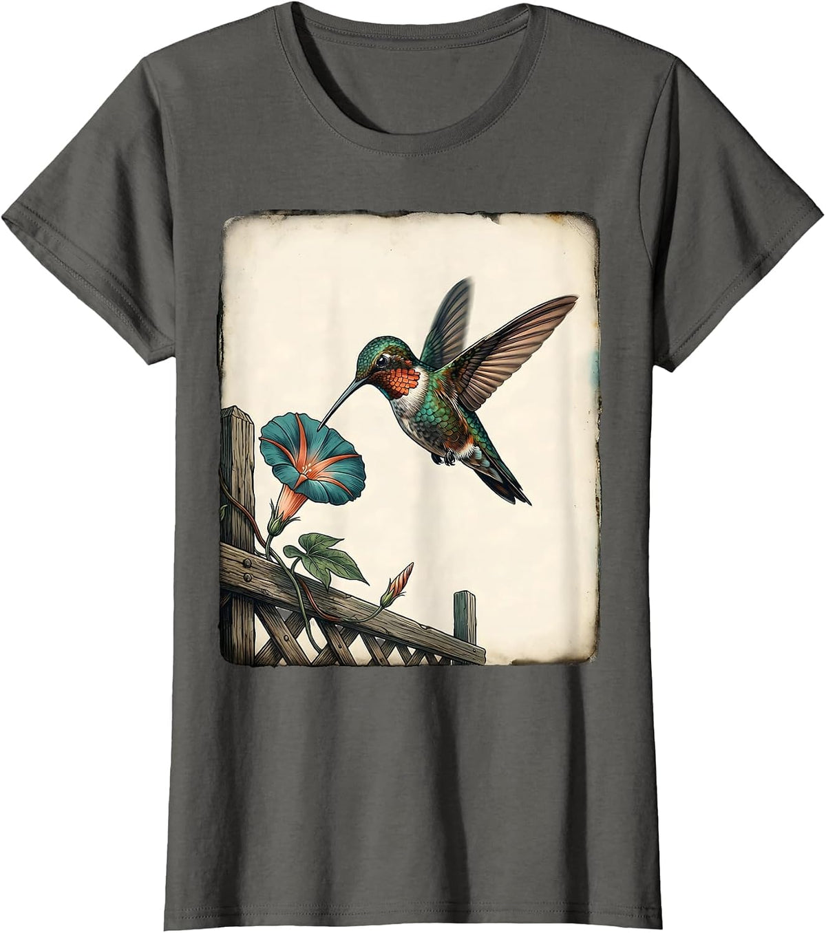 Women's Hovering Hummingbird Vintage Birdwatcher Nature Art T-Shirt - Asphalt Grey
