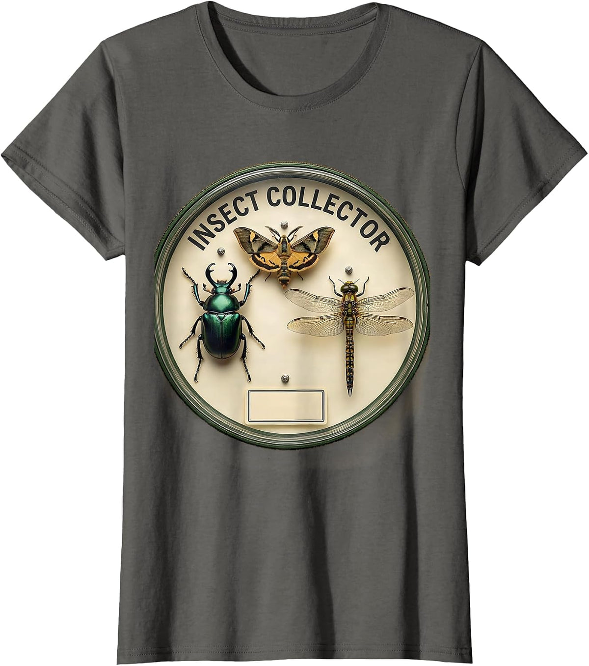 Women's Insect Collector Botanical Entomology Bug Lover Science T-Shirt - Asphalt Grey