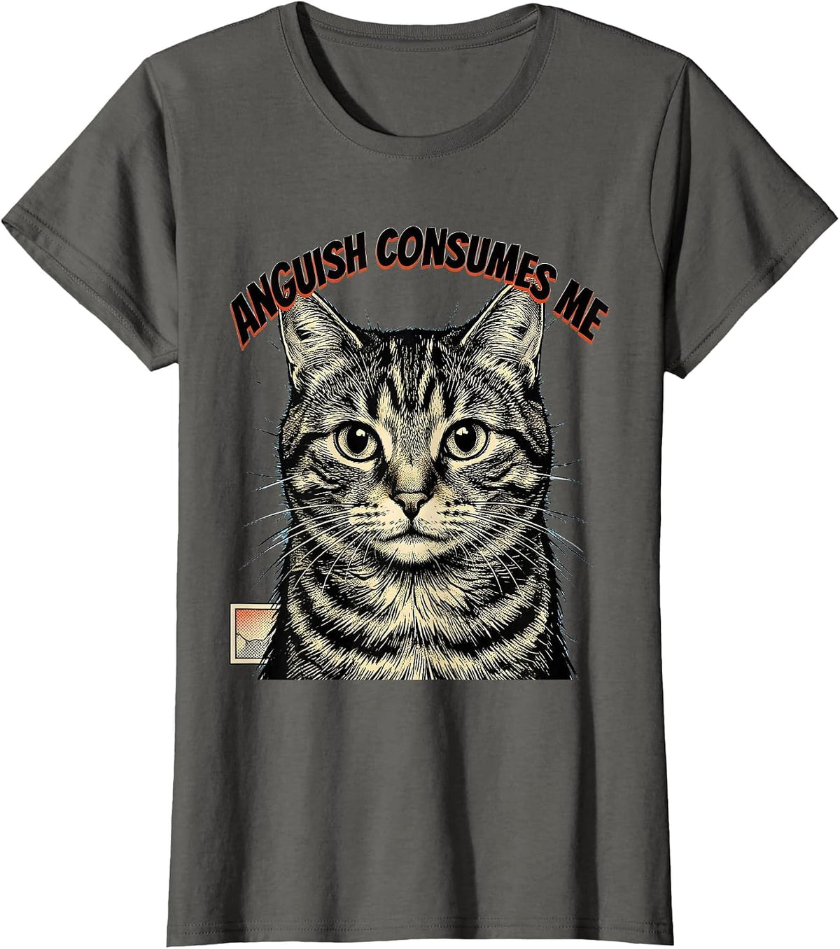 Women's Anguish Consumes Me Comic Book Cat Meme Sarcastic Humor T-Shirt - Asphalt Grey