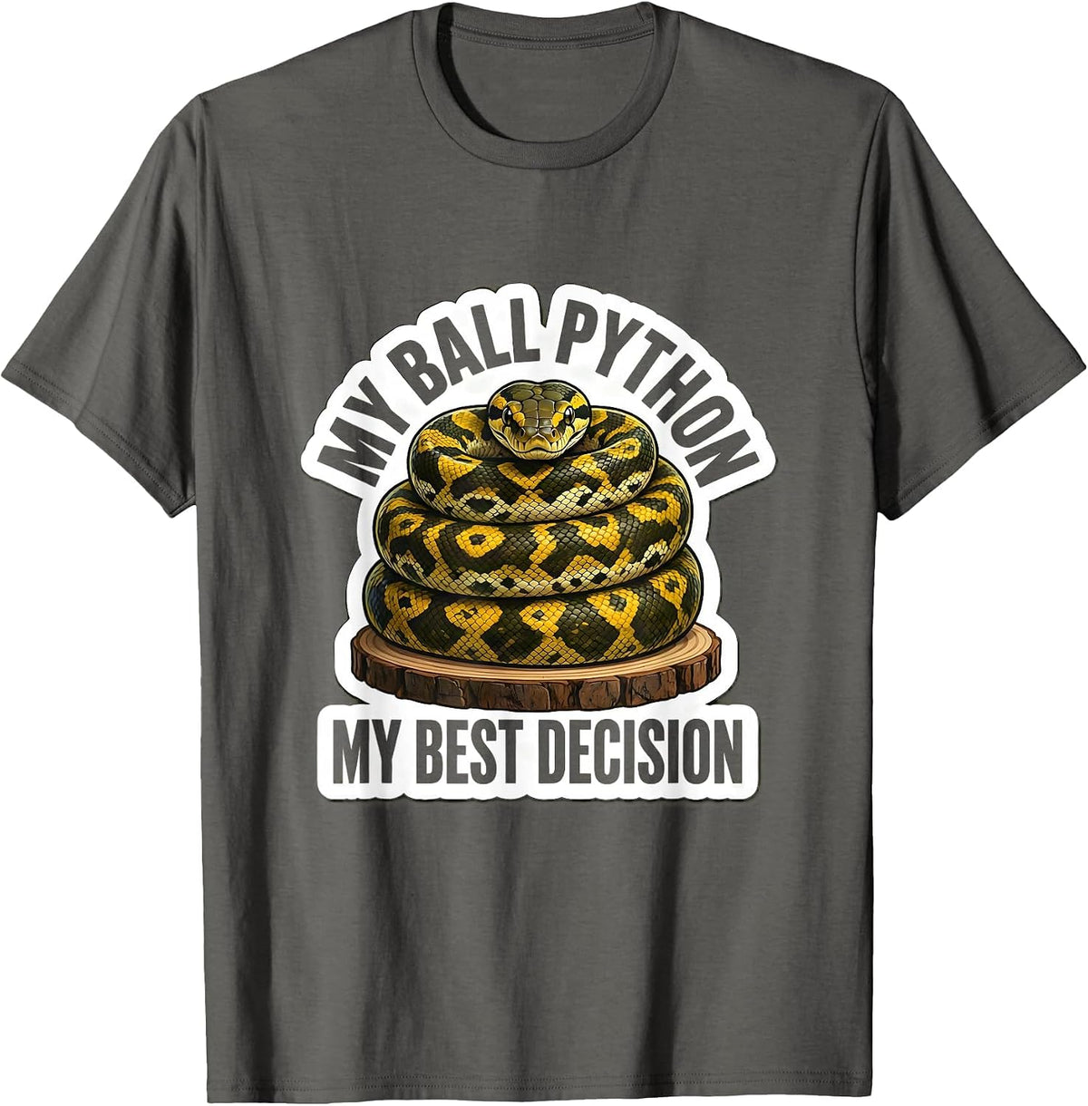 My Ball Python My Best Decision Funny Reptile Lover Gift T-Shirt - Asphalt Grey