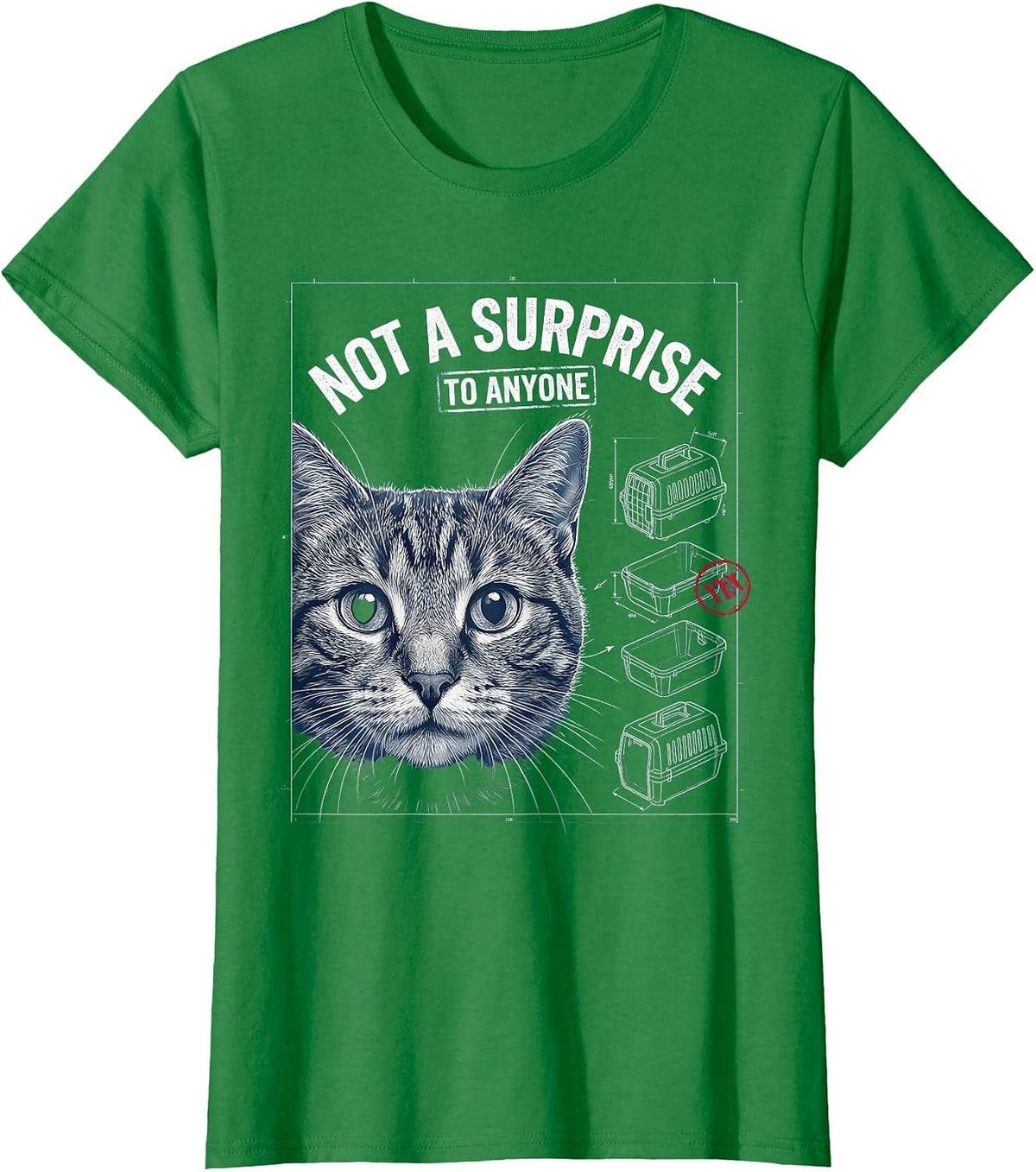 Women's Not A Surprise To Anyone Funny Gay Cat Meme Bootleg Humor T-Shirt - Kelly Green