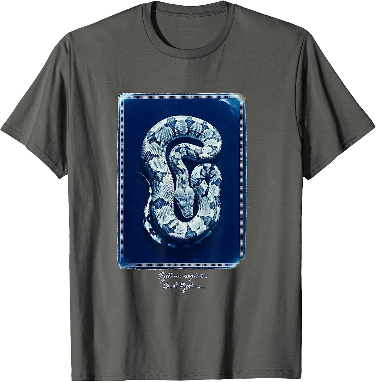 Men's Python regius Ball Python Funny Snake Owner Reptile Lover T-Shirt - Asphalt Grey