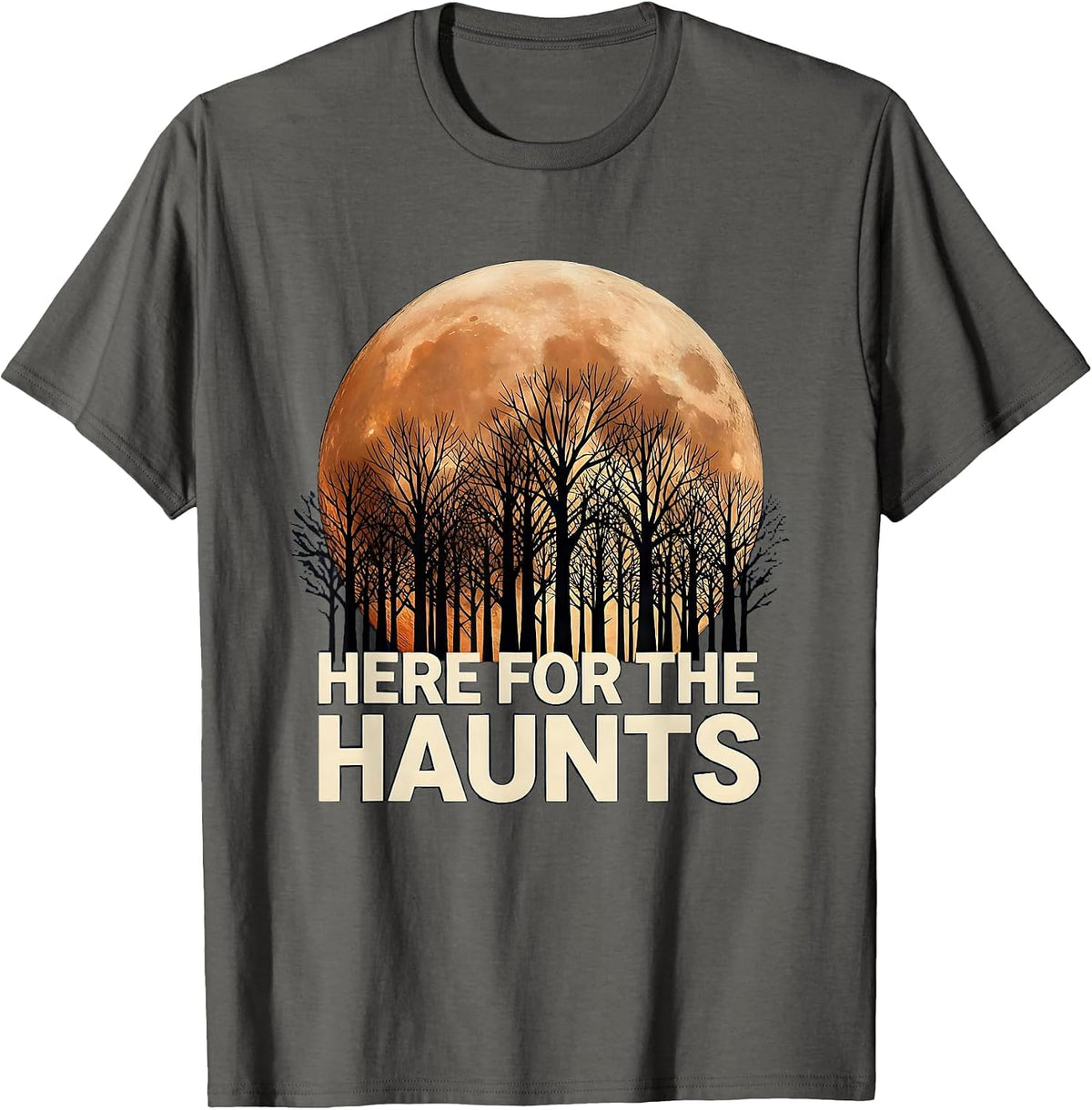 Here for the Haunts Spooky Season Design T-Shirt - Asphalt Grey