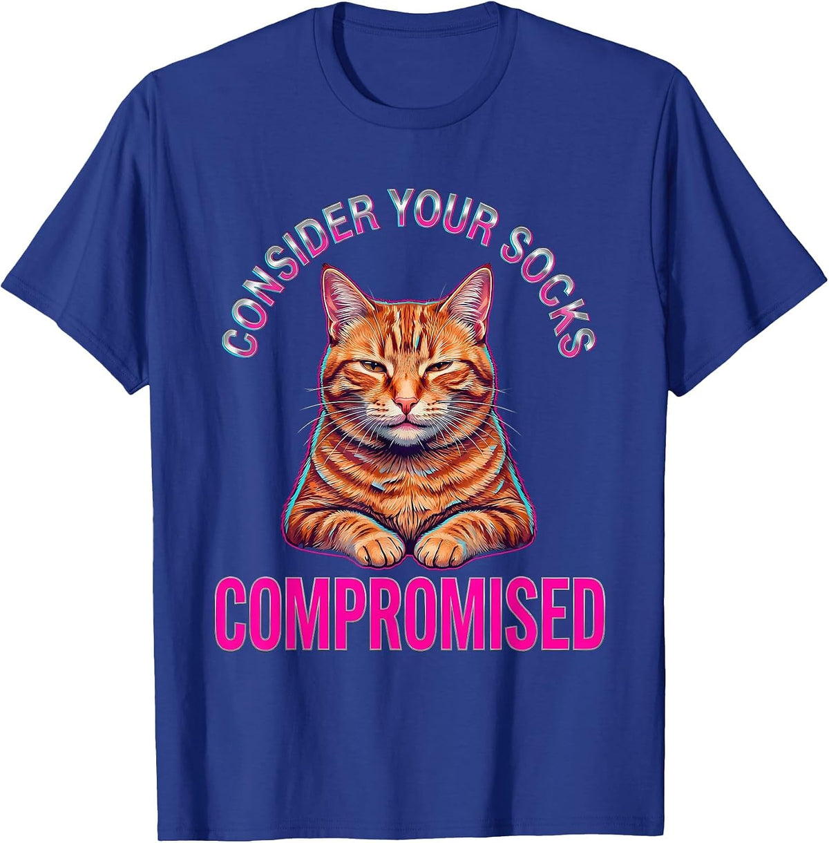 Consider Your Socks Compromised Vaporwave Y2K Cat Meme Humor T-Shirt - Royal Blue