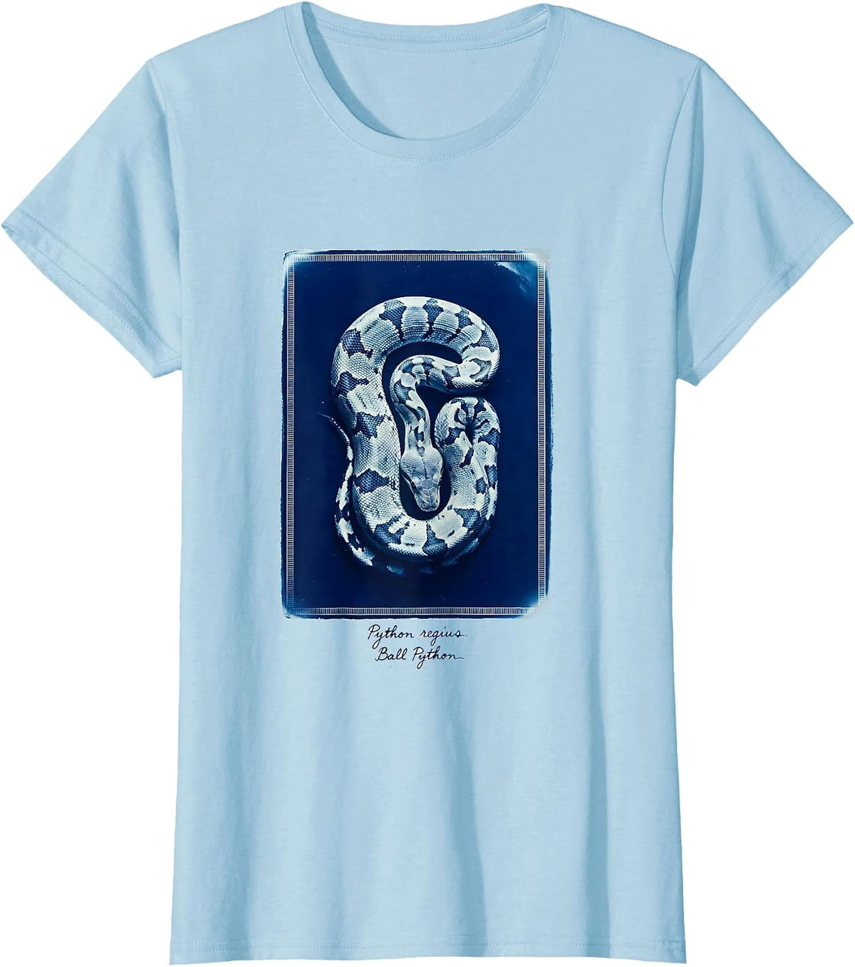 Women's Python regius Ball Python Funny Snake Owner Reptile Lover T-Shirt - Baby Blue