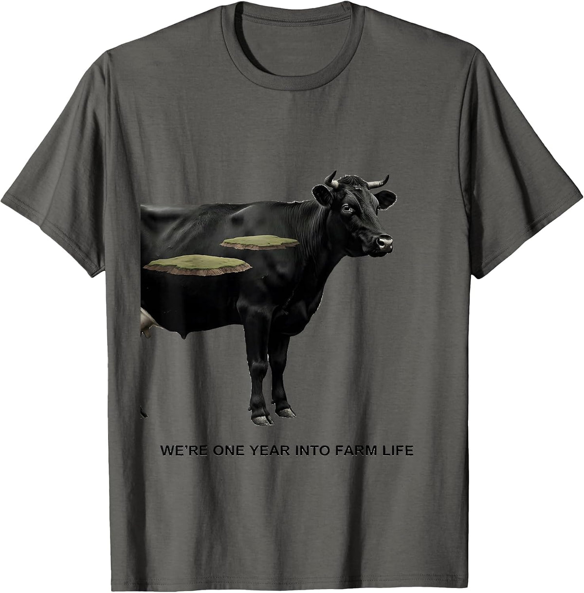 We're One Year Into Farm Life Playful Farm Family Matching T-Shirt - Asphalt Grey