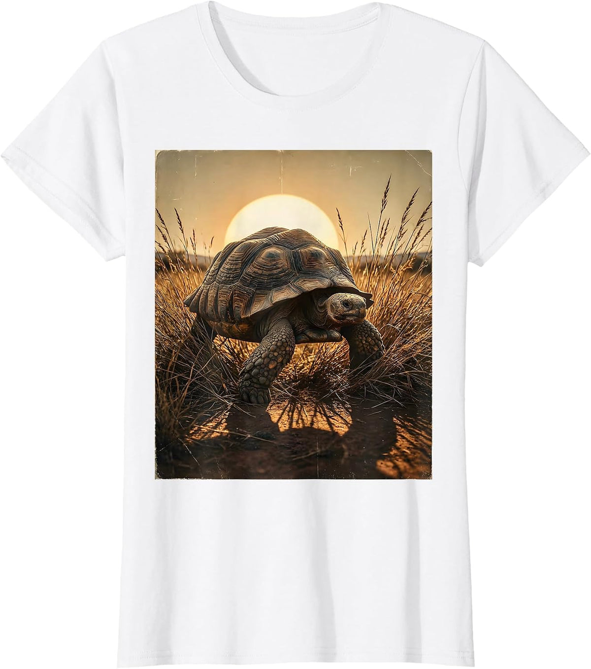 Women's Giant Tortoise Safari Wildlife Illustration T-Shirt - White