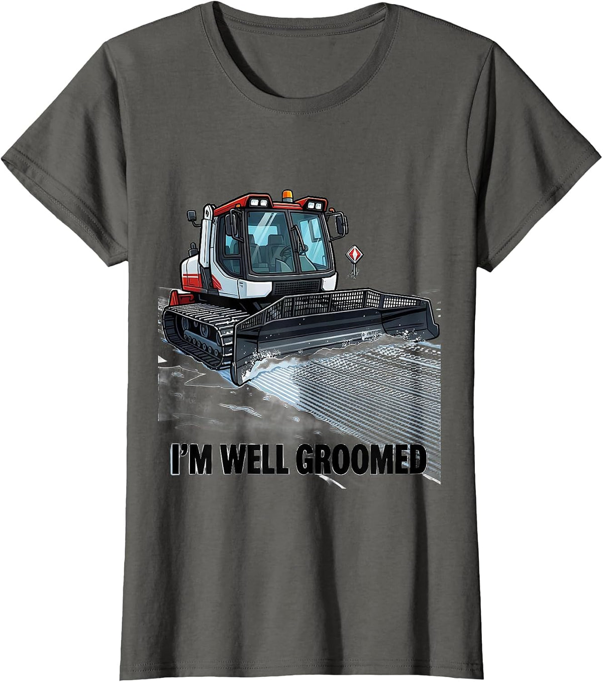 Women's I'm Well Groomed Cartoon Ski Snowboarder Humor Gift T-Shirt - Asphalt Grey