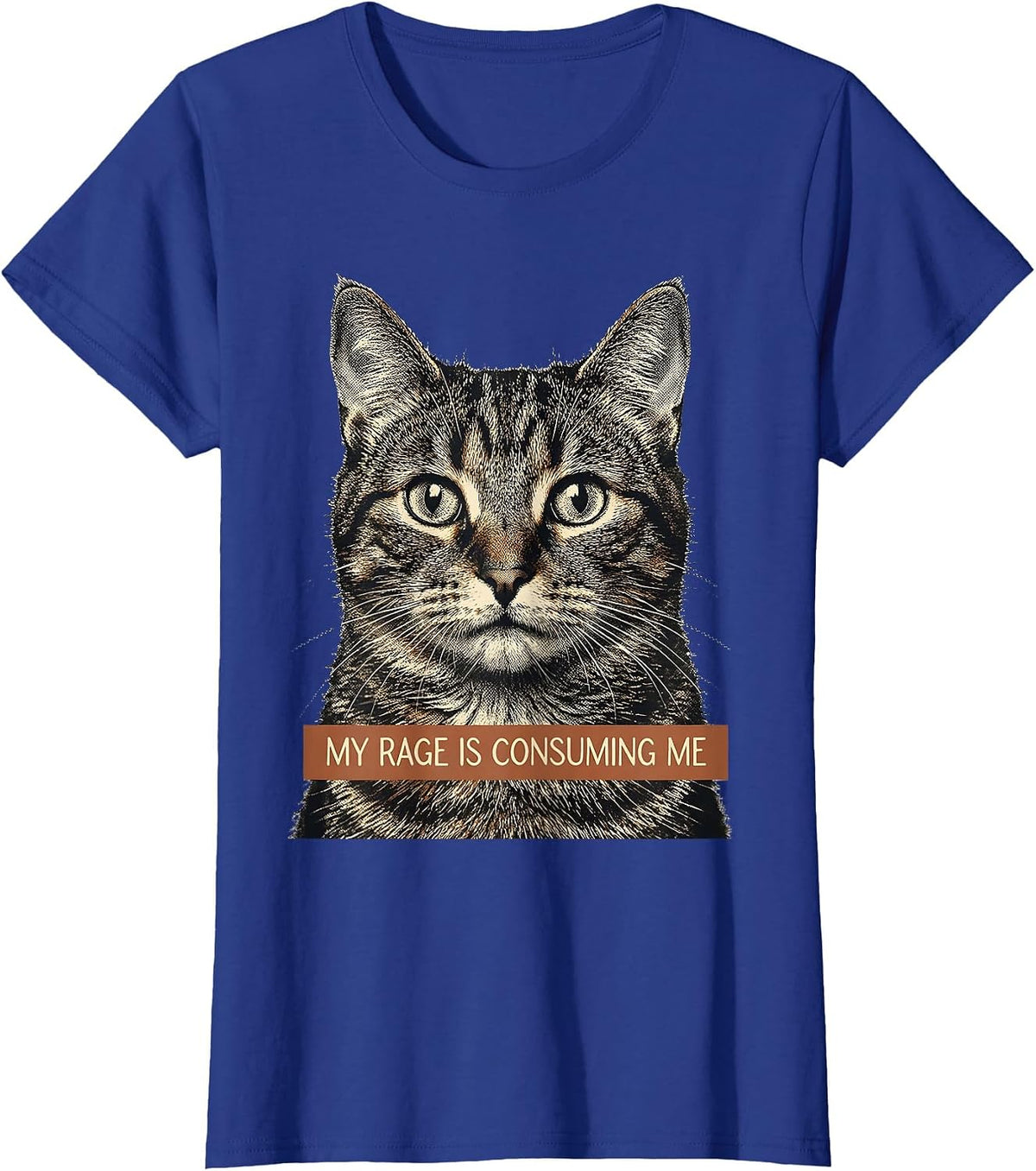 Women's My Rage Is Consuming Me Funny Cat Meme Silly Staring T-Shirt - Royal Blue