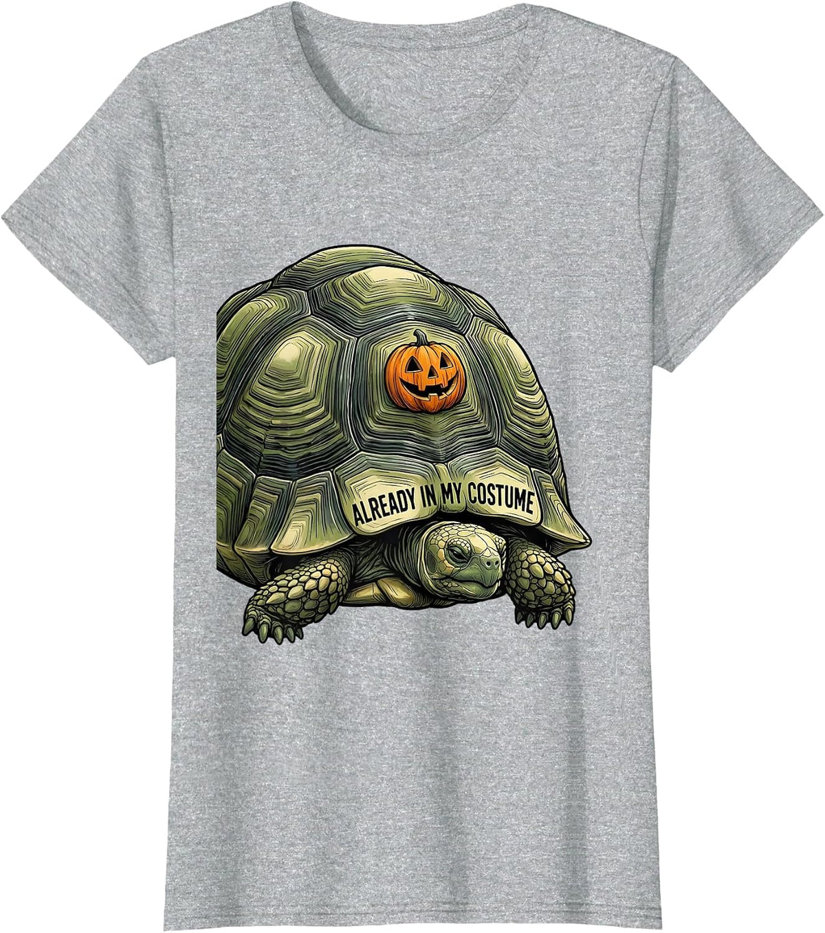 Already In My Costume Funny Tortoise Halloween Costume T-Shirt - Heather Grey