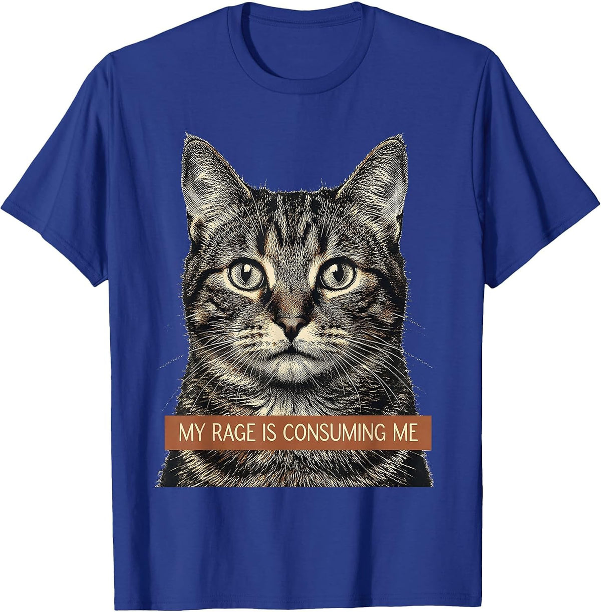 Men's My Rage Is Consuming Me Funny Cat Meme Silly Staring T-Shirt - Royal Blue