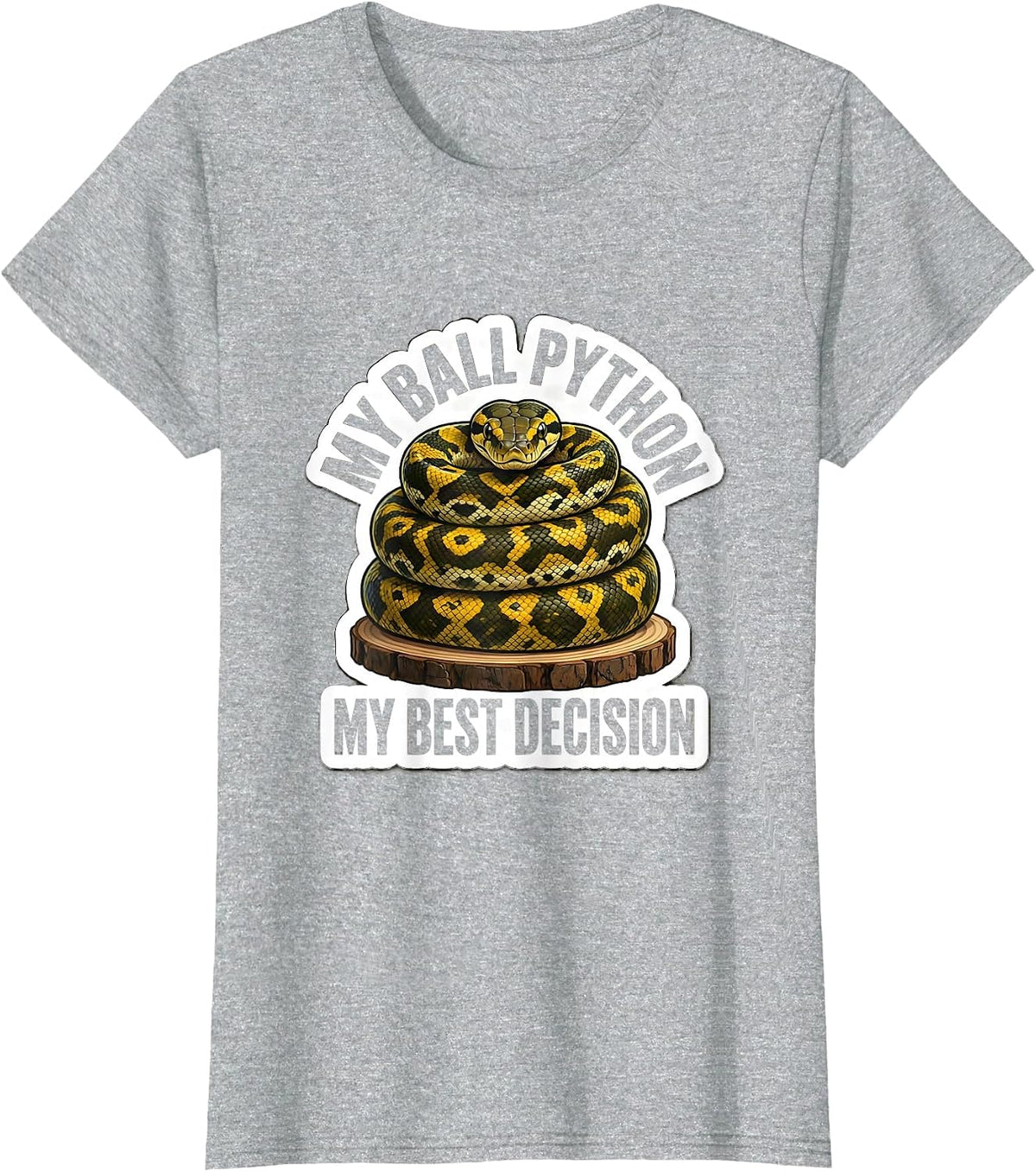 My Ball Python My Best Decision Funny Reptile Lover Gift T-Shirt - Heather Grey
