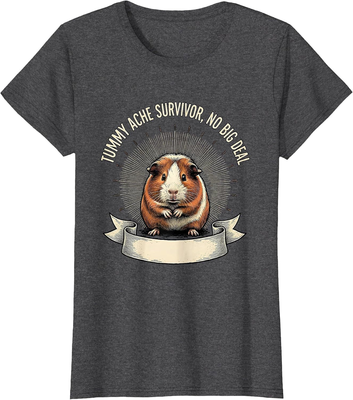 Women's Tummy Ache Survivor No Big Deal Funny Guinea Pig Meme Humor T-Shirt - Dark Heather Grey