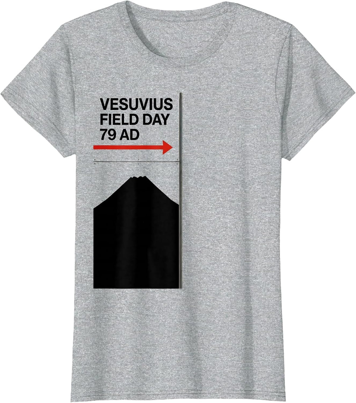 Women's Vesuvius Field Day 79 AD Funny History Buff Volcanology T-Shirt - Heather Grey