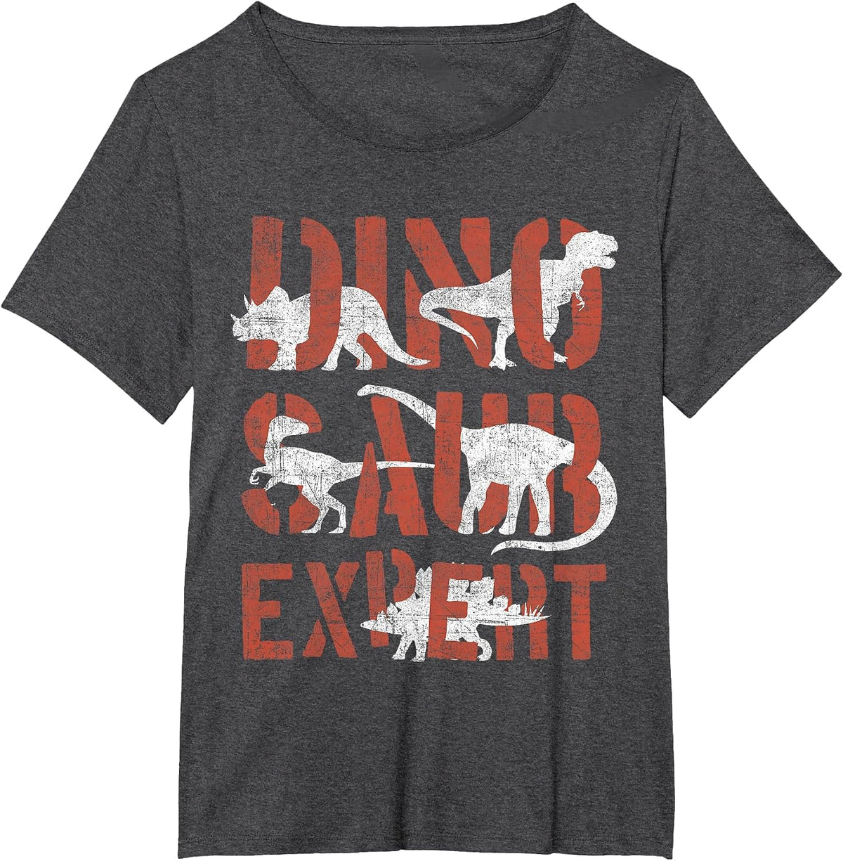 Dinosaur Expert Dinosaurs Boys Kids Toddlers Retro Graphic T-Shirt - Dark Heather Grey