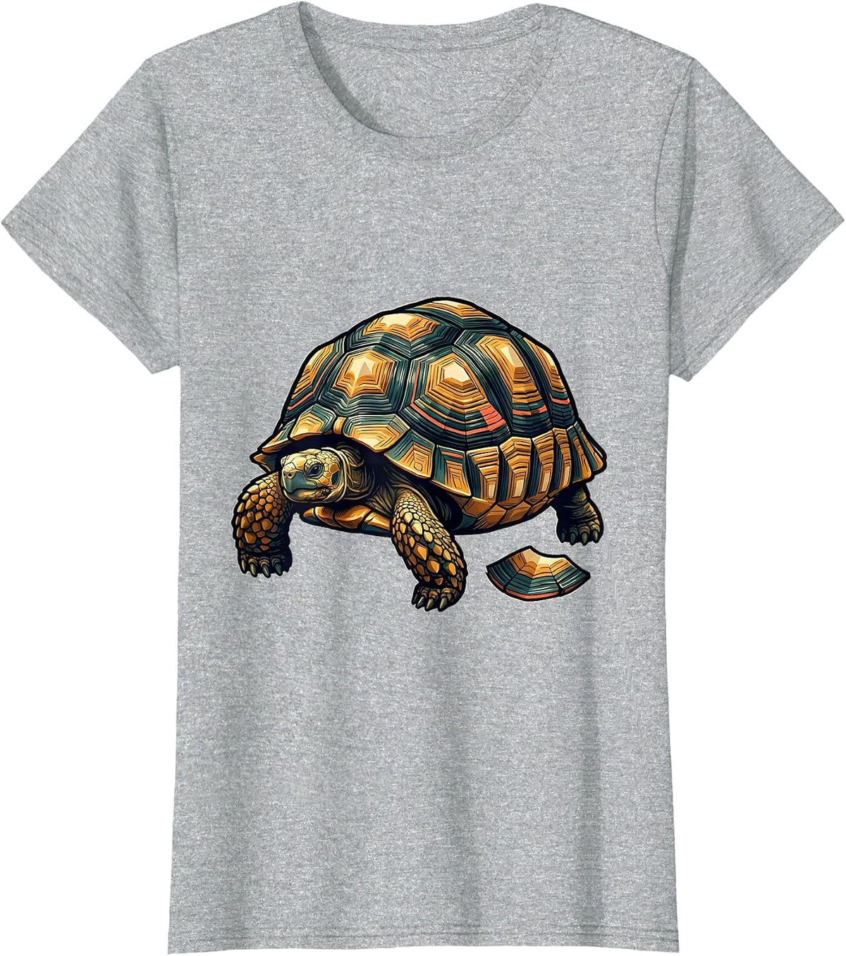 Indian Star Tortoise Reptile Lover Novelty Animal Fan T-Shirt - Heather Grey