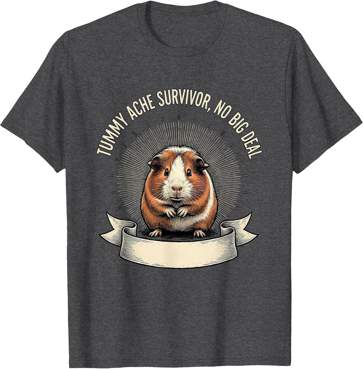 Men's Tummy Ache Survivor No Big Deal Funny Guinea Pig Meme Humor T-Shirt - Dark Heather Grey