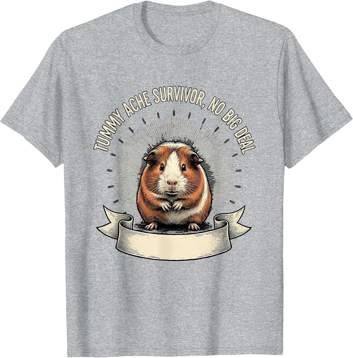 Men's Tummy Ache Survivor No Big Deal Funny Guinea Pig Meme Humor T-Shirt - Heather Grey
