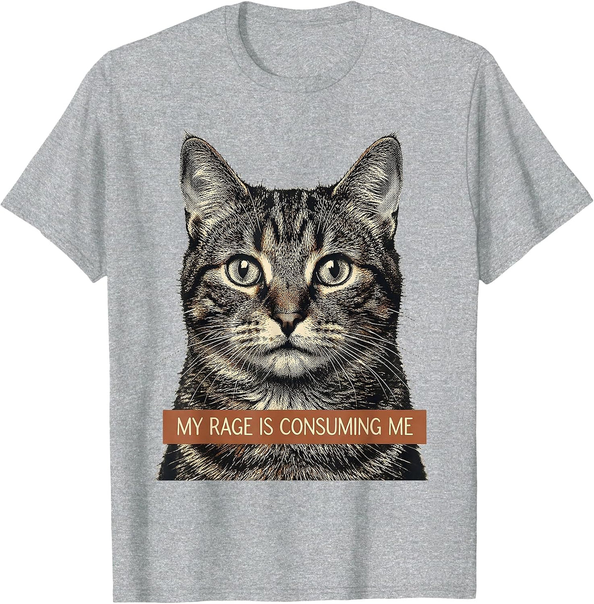 Men's My Rage Is Consuming Me Funny Cat Meme Silly Staring T-Shirt - Heather Grey
