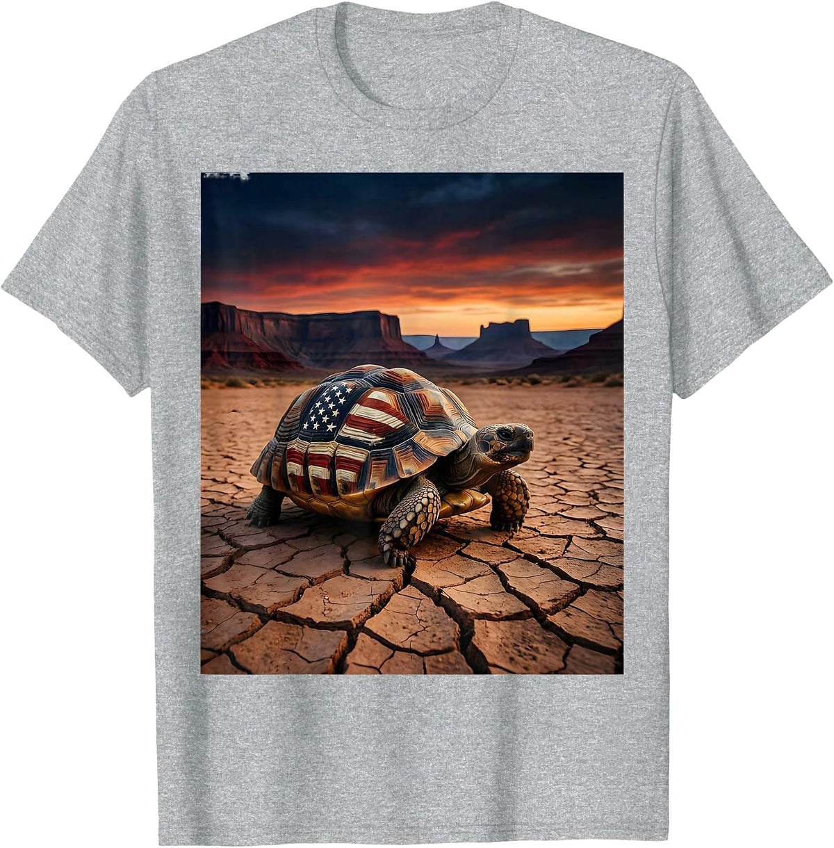Men's Desert Tortoise Cracked Earth Crossing Illustration T-Shirt - Heather Grey