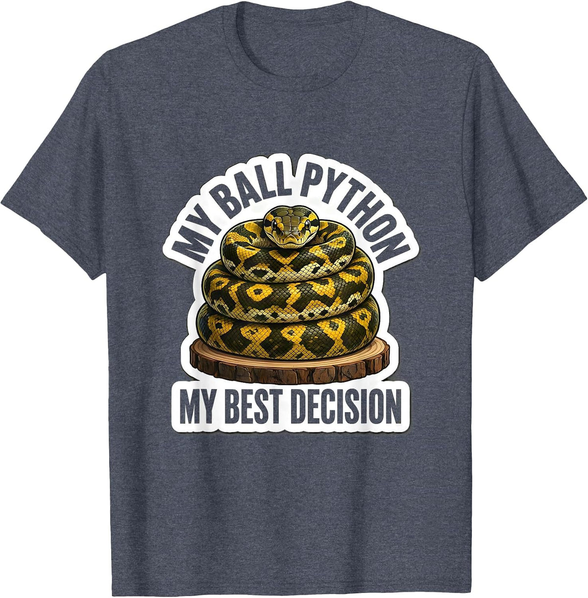 My Ball Python My Best Decision Funny Reptile Lover Gift T-Shirt - Heather Blue