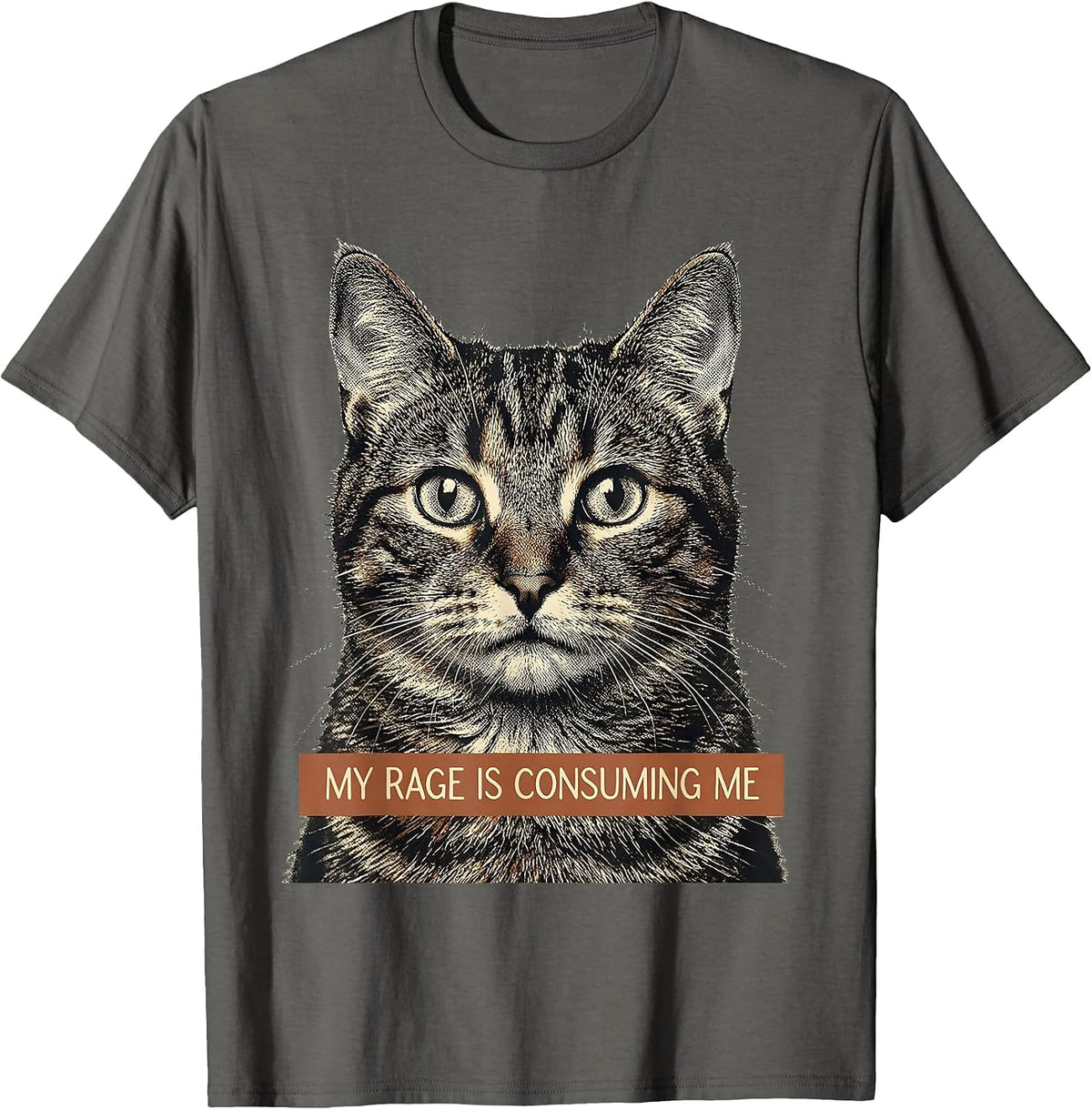 Men's My Rage Is Consuming Me Funny Cat Meme Silly Staring T-Shirt - Asphalt Grey
