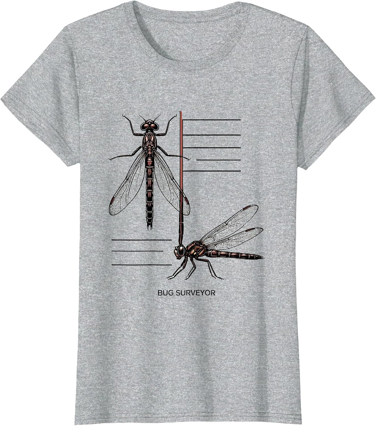Women's Bug Surveyor Minimalist Entomology Bug Collector Species T-Shirt - Heather Grey