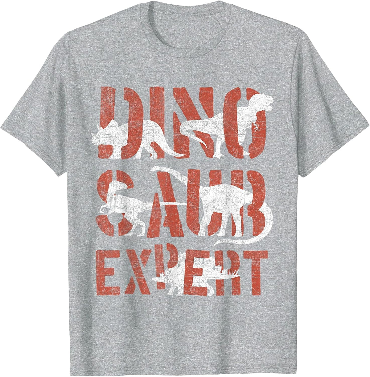 Dinosaur Expert Dinosaurs Boys Kids Toddlers Retro Graphic T-Shirt - Heather Grey