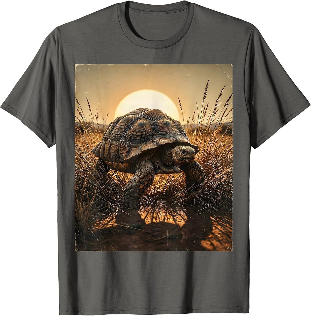 Men's Giant Tortoise Safari Wildlife Illustration T-Shirt - Asphalt Grey