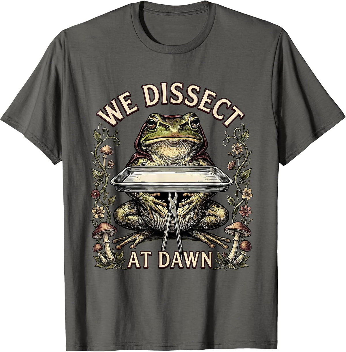 We Dissect At Dawn Funny Frog Teacher Back to School T-Shirt - Asphalt Grey