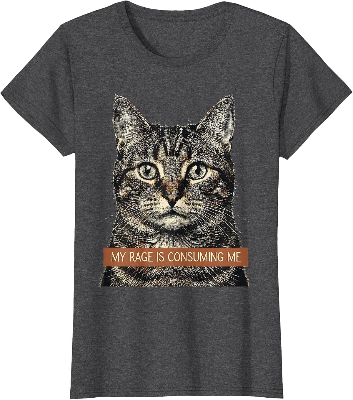Women's My Rage Is Consuming Me Funny Cat Meme Silly Staring T-Shirt - Dark Heather Grey